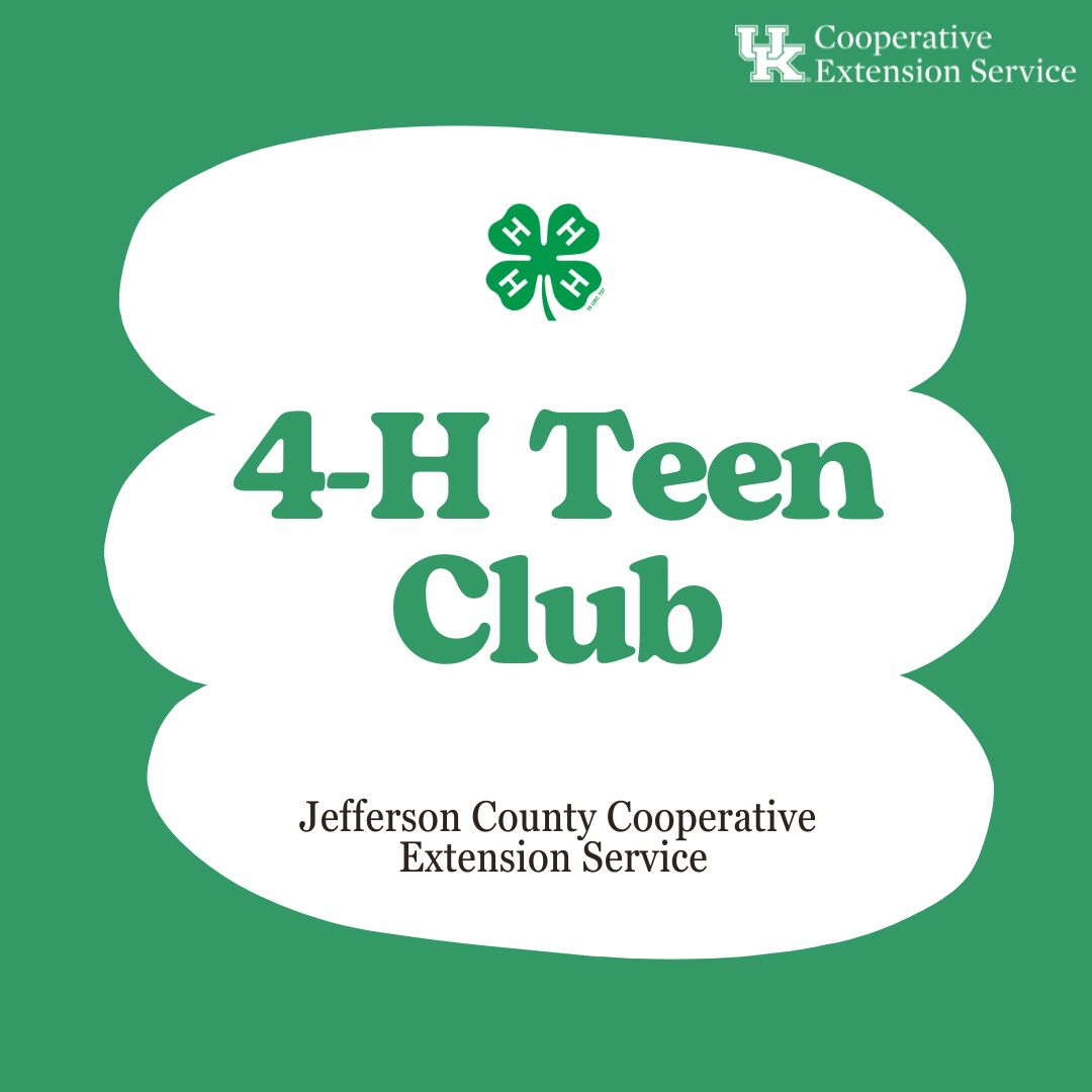 4-h Teen Club flyer